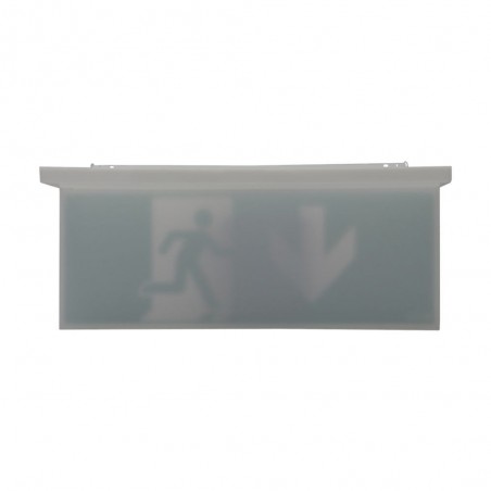 NEXI-PLEXO-20-DB