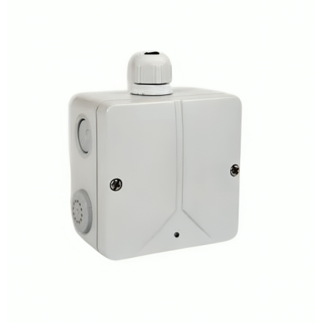 DMDP-500